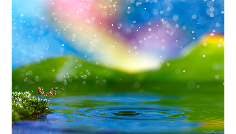 Illustration for article titled Can You Believe These Insect Fantasyland Photos Were Shot On Someone's Kitchen Table?